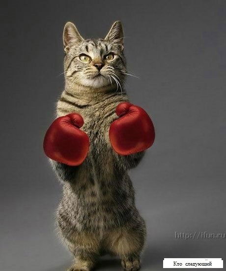 Роман Китов