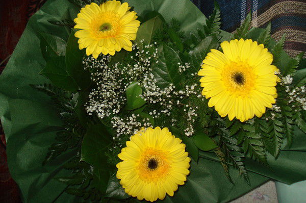 Екатерина Никотина