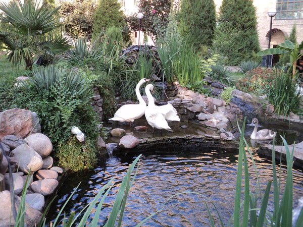 Людмила Хитяева