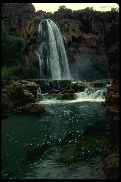 Халид Магомадов