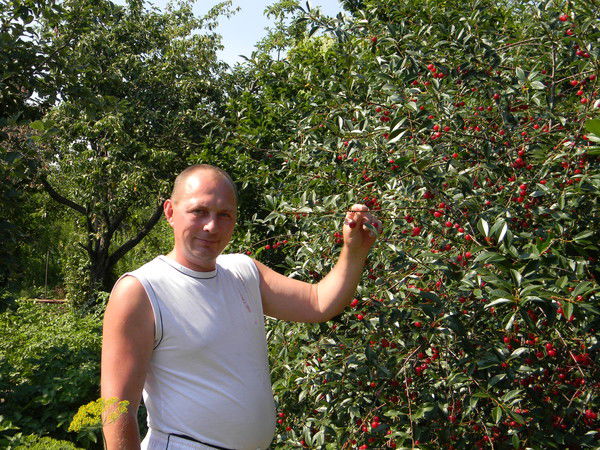 Андрей Мольков