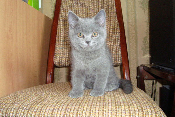 Ольга Дудник