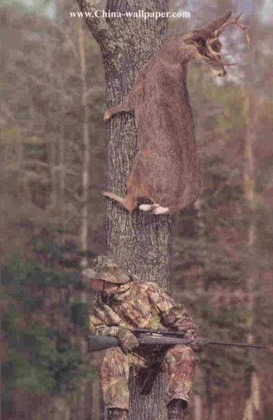 Максим Тутаев