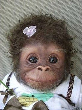 Татьяна Плесовск