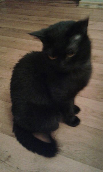 Ольга Бегунович