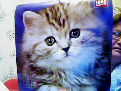 Вера Комарова