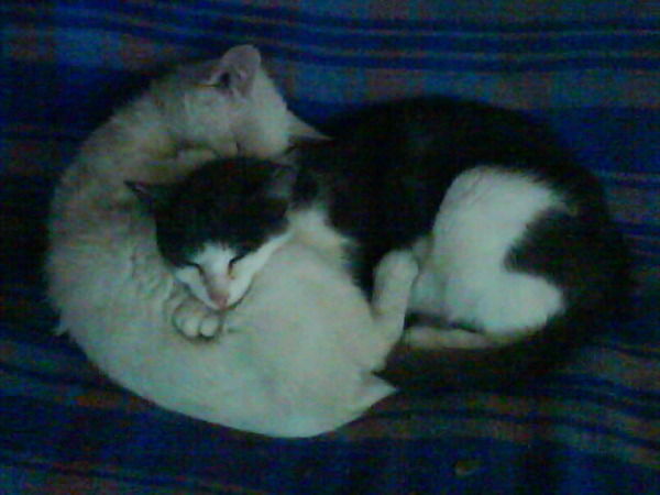 Ольга Портнова