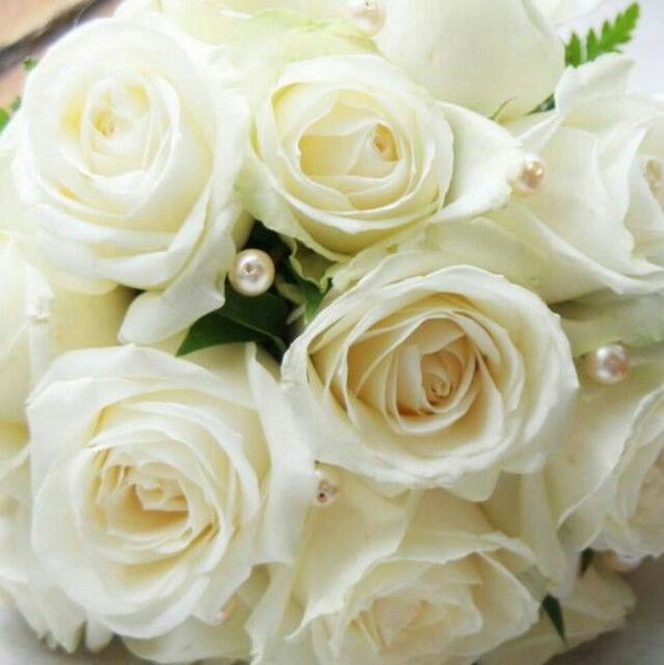 ***s*h*i*k*o*** *************