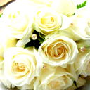 ***s*h*i*k*o*** *************