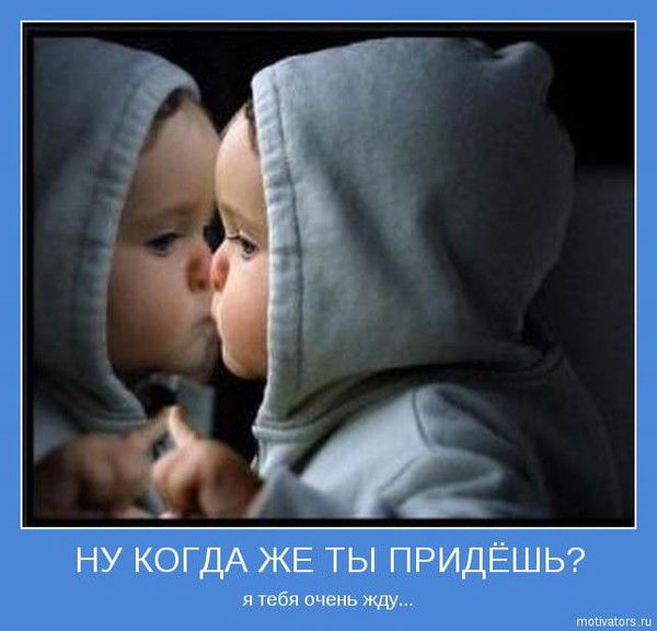 Владимир Орлов