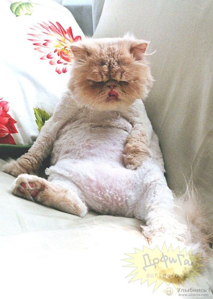 Алексей Смирнов