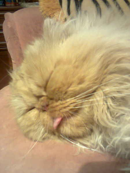 Мишаня Рыженький