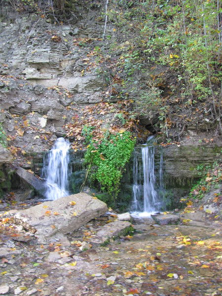 Марьяна Кушманова