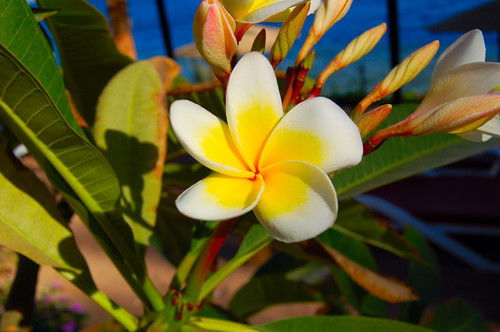 Аружамал Жилисбаева