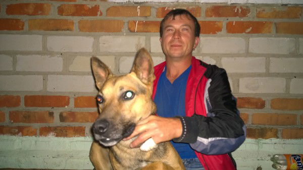 Андрей Мамонтов