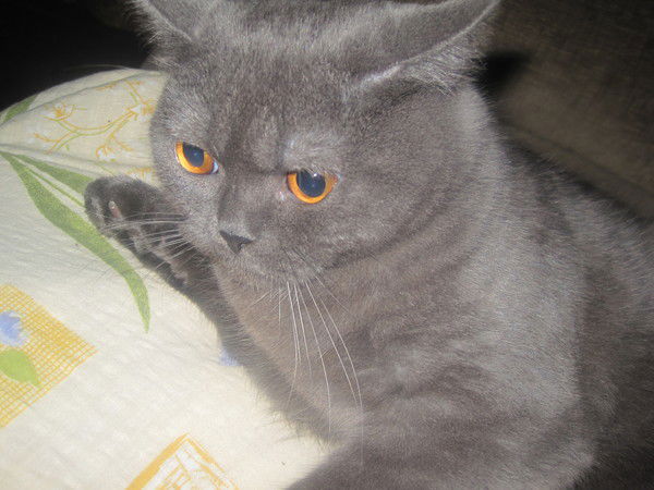 Татьяна Морозова