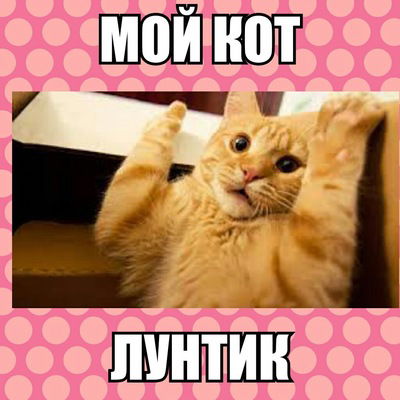 Аня Королева