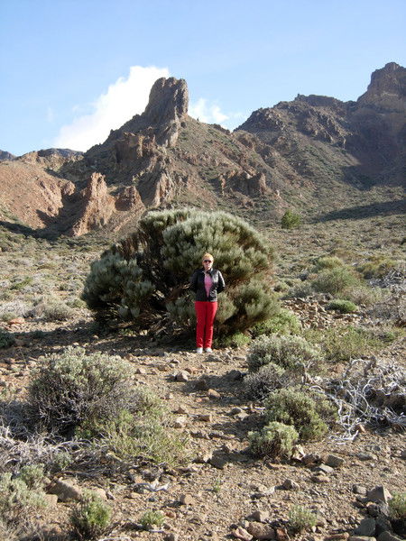 Нина Ченцова