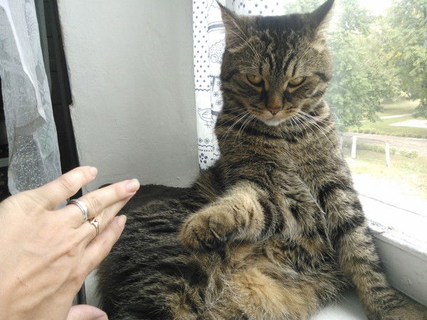 Татьяна Красновская