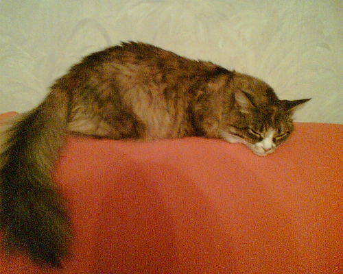 Татьяна Данилова