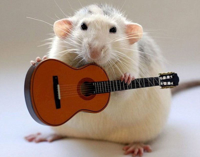 Алик Хомяков