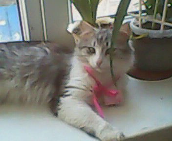 Татьяна Юсова