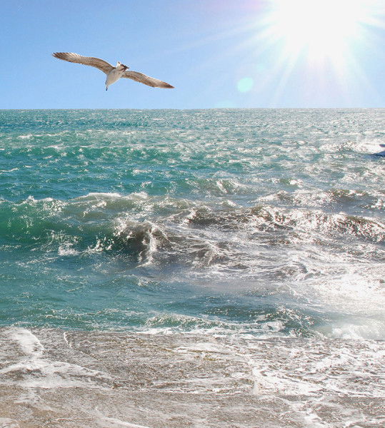 Людмила Хасанова