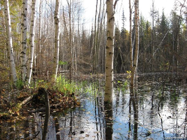 Василий Казанов