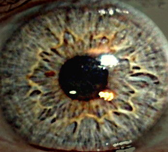 Владислав Жуков