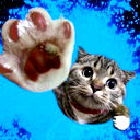 Жанна Корабель