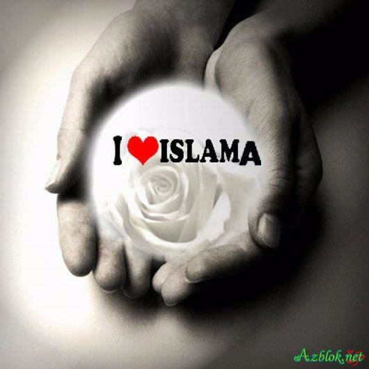 ¤$¤$Madina Super$¤$¤