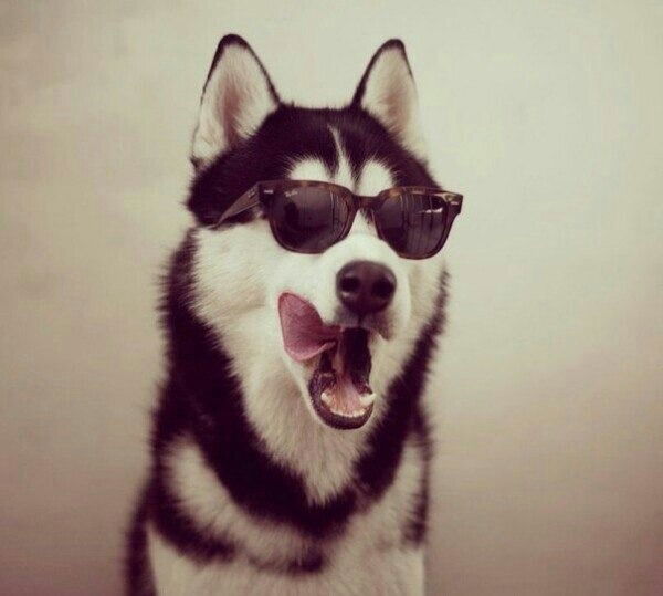 Александр =))