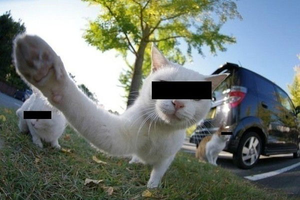 Яблочный Пирог