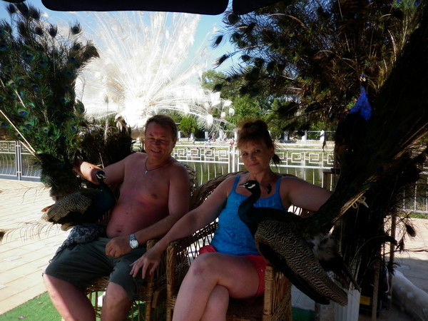 Эльвира Миронова