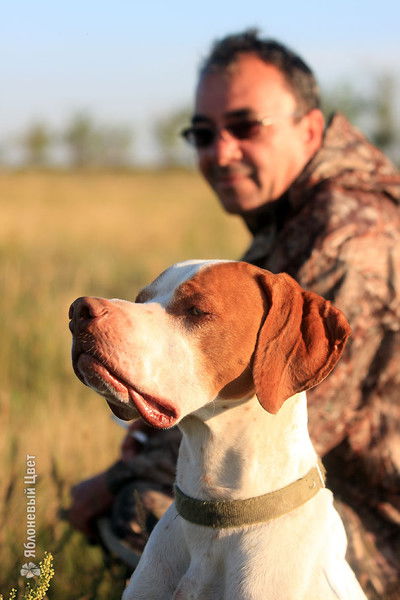 Aнатолий Cтаценко