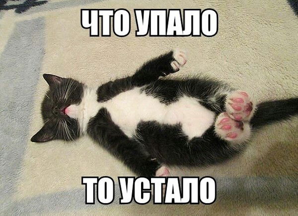 В И Т А Л И Й