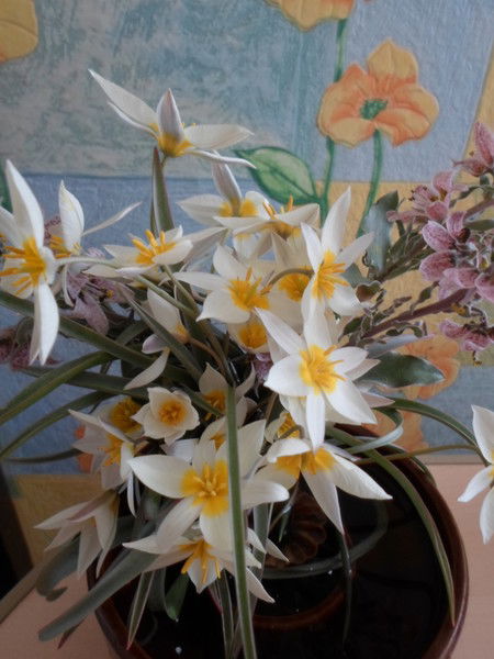 Людмила Кащеева