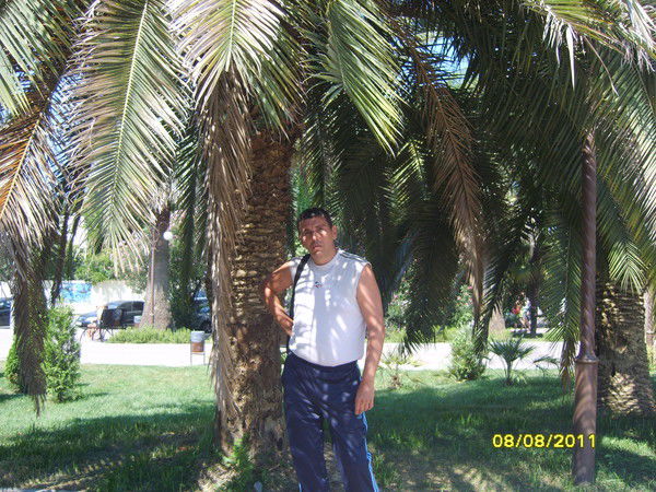 Дмитрий Богачев