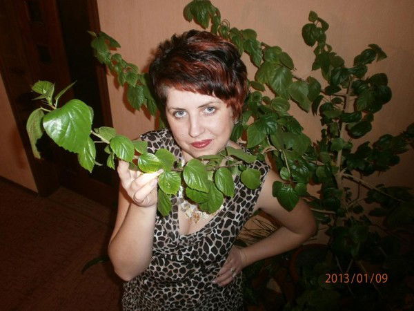 Ирина Сорокова