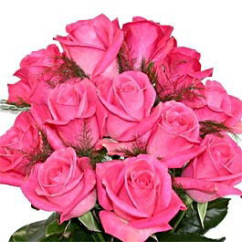 Гулбарчын Зайнидин Кызы