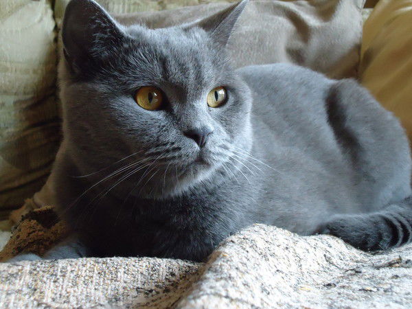 Татьяна Сикерина