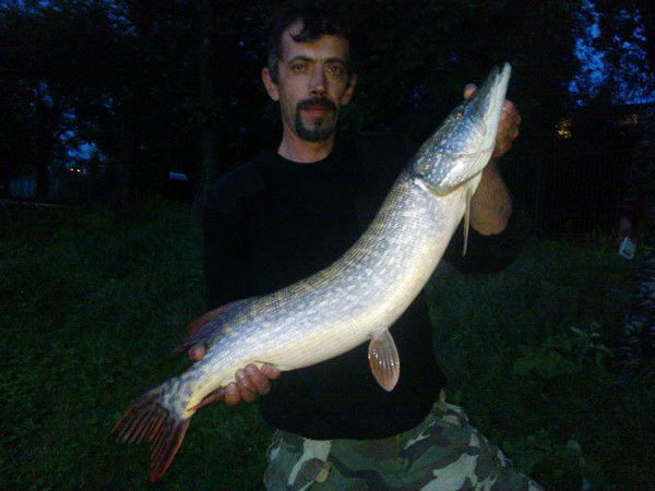 Алексей Новиков