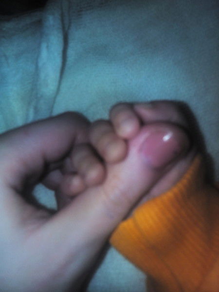 Елена Трунова