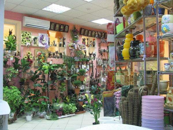 Надежда Смирнова