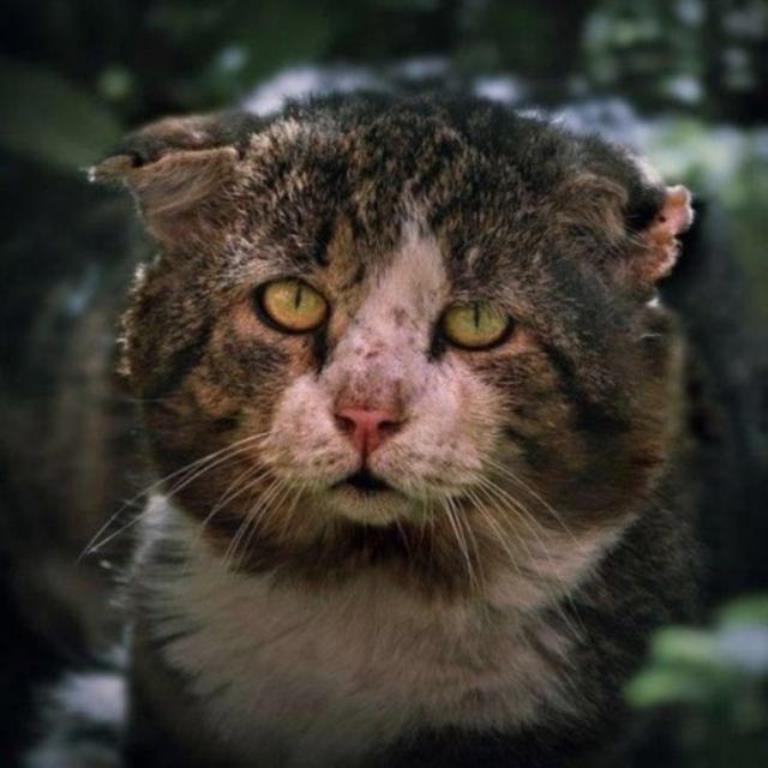 Ридяков Игорь