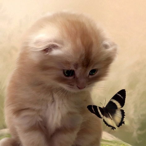 Зинаида Ковалик