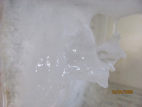 Елена Федякина