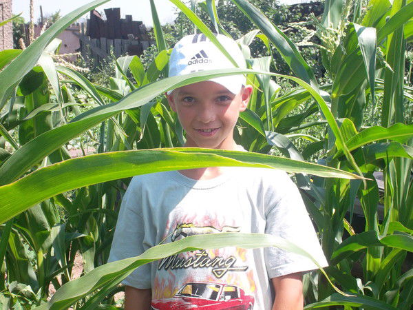 Павел Вихарев