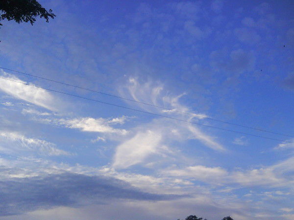 Катюша Полозкова