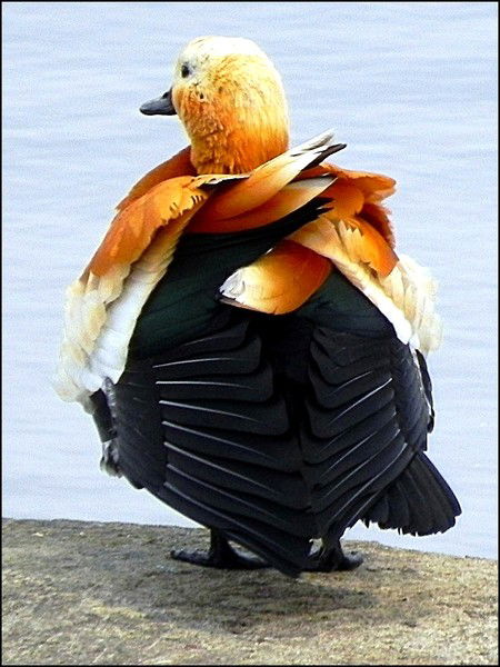 Тамара Мельникова